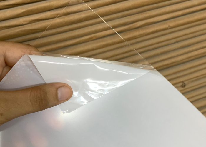 image of a pet sheet